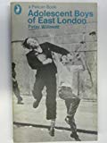 Book Adolescent Boys of East London (Pelican) free
