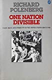 Book One Nation Divisible: Class, Race, and Ethnicity in the United States Since 1930 (Hist of the USA) free
