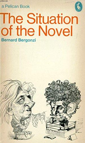 Book The Situation of the Novel free