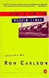 Book Plan B for the Middle Class: Stories free