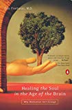 Book Healing the Soul in the Age of the Brain: Why Medication Isn't Enough free