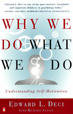 Book Why We Do What We Do: Understanding Self-Motivation free