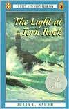 Book The Light at Tern Rock (Puffin Newbery Library) free
