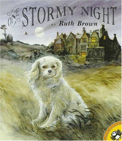 Book One Stormy Night (Picture Puffins) free