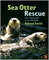 Book Sea Otter Rescue: The Aftermath of an Oil Spill free