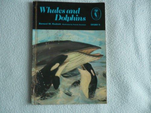 Book Whales And Dolphins (explorer ; 18) free