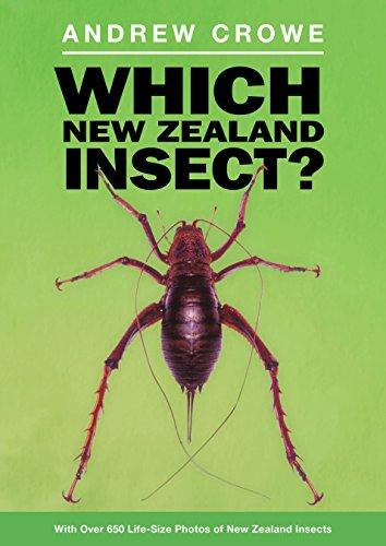 Book Which New Zealand Insect? free