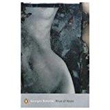 Book Blue of Noon (Penguin Modern Classics) free