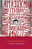 Book Notes from Underground free