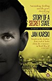 Book Modern Classics Story of a Secret State: My Report To The World (Penguin Modern Classics) free