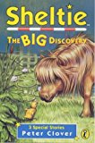 Book Sheltie Special 5: The Big Discovery free