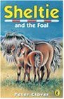 Book Sheltie 22: Sheltie and the Foal free