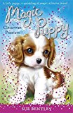Book Magic Puppy Classroom Princess free