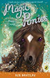 Book Magic Ponies Pony Camp free