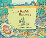 Book Little Rabbit Runaway free
