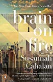 Book Brain On Fire: My Month of Madness free