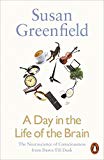 Book A Day in the Life of the Brain free