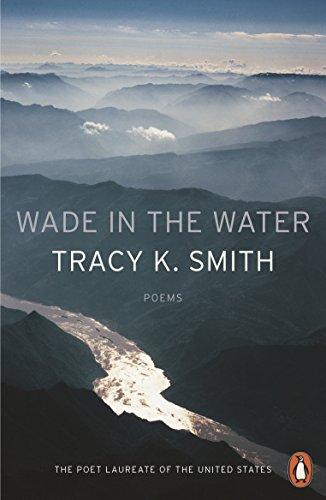 Book Wade In The Water free