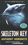 Book Skeleton Key (Alex Rider) free