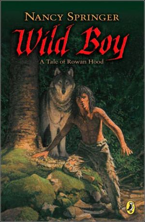 Book Wild Boy: A Tale of Rowan Hood (Rowan Hood (Paperback)) free