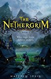 Book The Nethergrim free