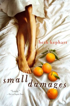 Book Small Damages free