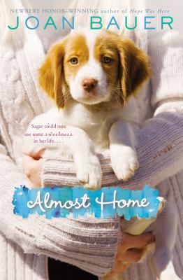 Book Almost Home free