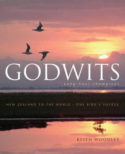 Book Godwits free