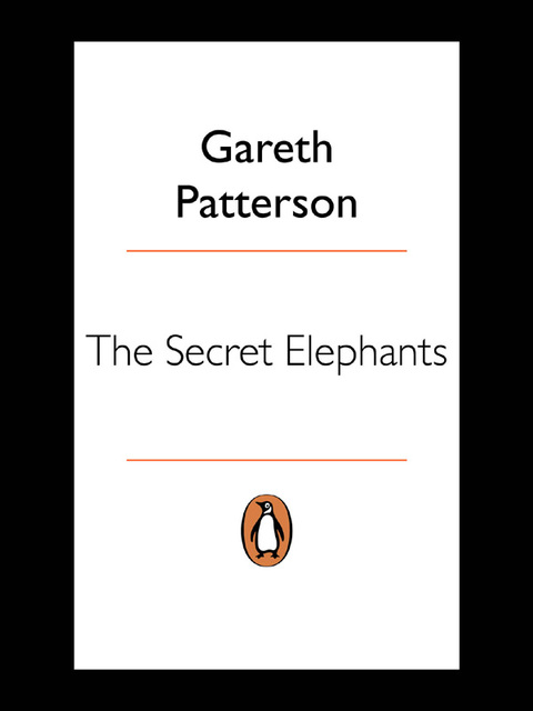 Book The Secret Elephants free