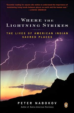 Book Where the Lightning Strikes: The Lives of American Indian Sacred Places free