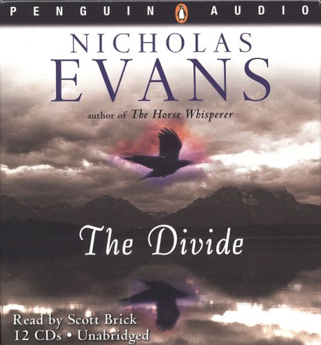 Book The Divide free