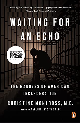 Book Waiting for an Echo: The Madness of American Incarceration free