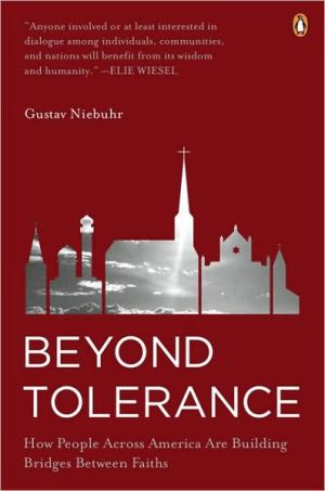 Book Beyond Tolerance: How People Across America Are Building Bridges Between Faiths free