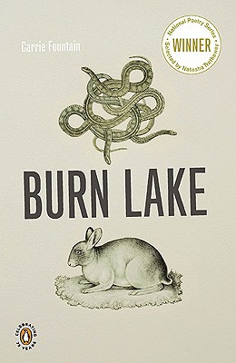 Book Burn Lake (Penguin Poets) free