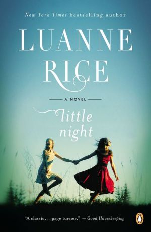 Book Little Night: A Novel free