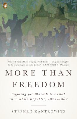 Book More Than Freedom: Fighting for Black Citizenship in a White Republic, 1829-1889 free