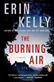 Book The Burning Air: A Novel free