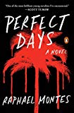 Book Perfect Days: A Novel free