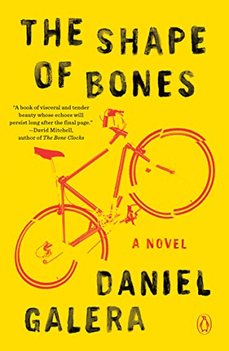 Book The Shape of Bones: A Novel free