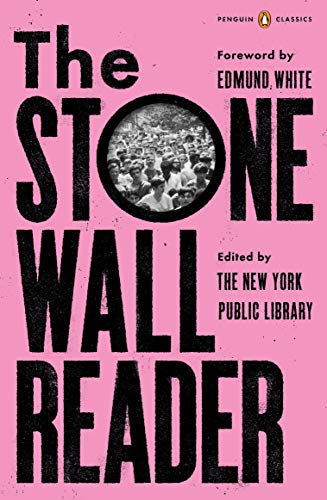Book The Stonewall Reader free