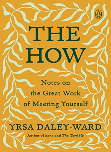 Book The How: Notes on the Great Work of Meeting Yourself free