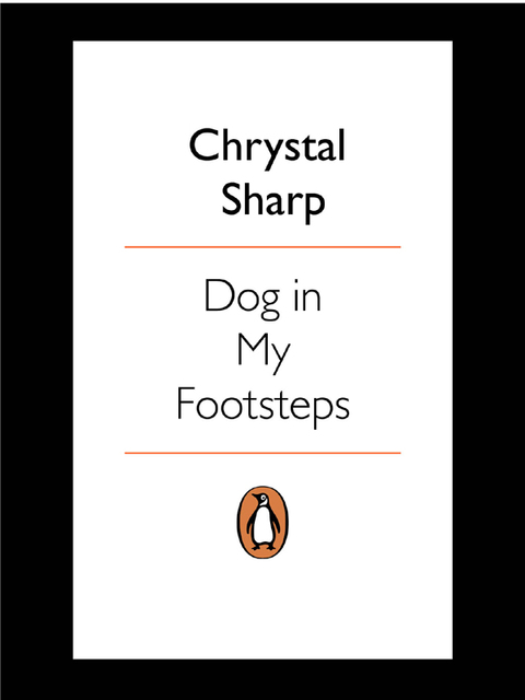 Book Dog in my Footsteps free