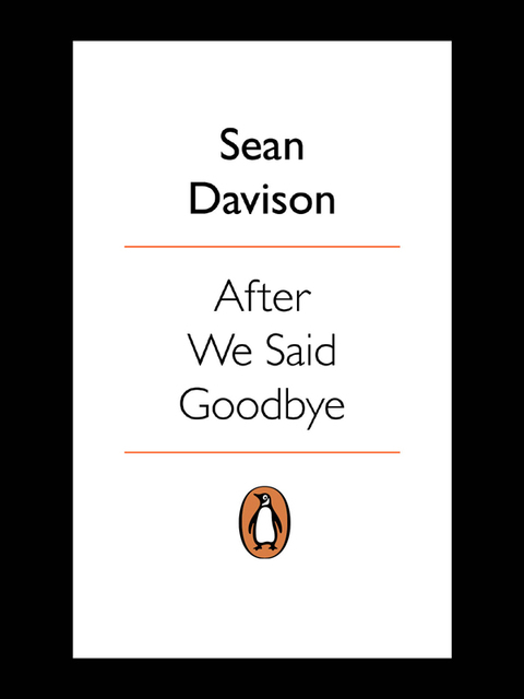 Book After We Said Goodbye free