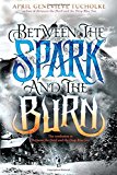 Book Between the Spark and the Burn free