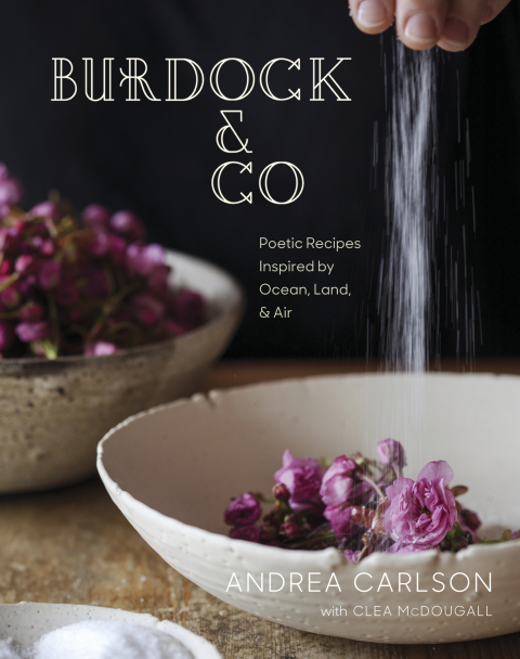 Book Burdock & Co free