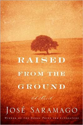 Book Raised from the Ground free