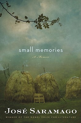 Book Small Memories free