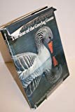 Book The Year of the Greylag Goose free