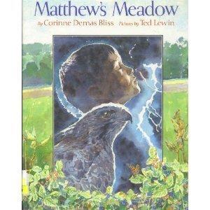 Book Matthew's Meadow free