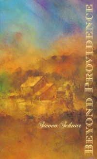 Book Beyond Providence free